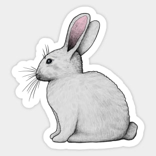 Rabbit Sticker